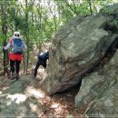 내곡동430 이미지