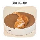 고양이가 먼저 알아본 편안함 ３６５１ 둥지 원형 스크래쳐 실사용 후기