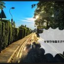와이넷 이미지