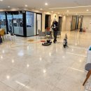 더나은 광택 이미지