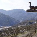 구담마을 이미지