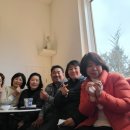 살롱드매그놀리아