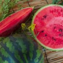 야훼농장 이미지