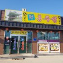 신홍주성