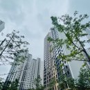 서초골드공인중개사사무소 이미지