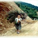 꽃피는 산골 이미지