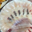 금성회락 | 울산 신정동 회 맛집 금성회락 남구 리필 점심 횟집 단체모임 장소