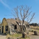 기원목장 이미지