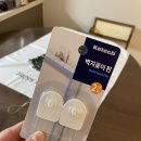 선데이트리 이미지