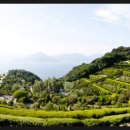 양덕동492 이미지