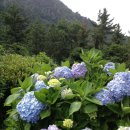 화순로 네이버블로그