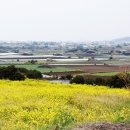 하모리-10 이미지