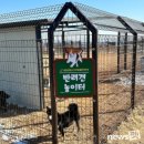 여왕의놀이터 이미지