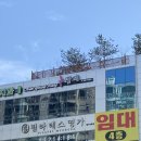 김영랑발레학원 네이버블로그
