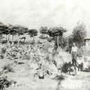 영랑초등학교 이미지