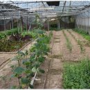 SKJ상경원요양병원 이미지