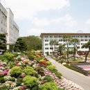 서정대학교