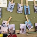 뚱몽이네 이미지