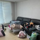 쓰레기집청소 - 마포구 희우정로10길 28 | 쓰레기집청소