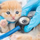 뉴월드동물병원 이미지