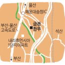 기장읍 내리 금관한우, ﻿등급좋은 한우구이를 알뜰하게 즐기는 법 (국제신문) 이미지