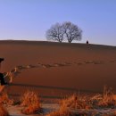 나그네길 이미지