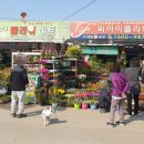 계양꽃농원