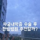 배가한방병원 | 심부자궁내막증 수술 후 한방병원 입원, 추천할까요? 직접 다녀온 후기