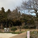 하늘과호수사이민박 | [제주 여행] 제주도 서쪽 지역 오름 추천 &#34;금오름&#34; 난이도, 소요시간, 후기