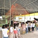 하대리목장 이미지