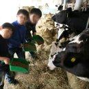 요라파영농조합법인 이미지