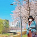 정자천로 이미지