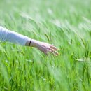 대심농장 이미지