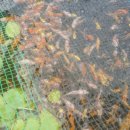 꽃뫼카페휴게소 이미지