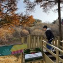 똥산강아지 네이버블로그