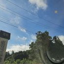 강정동-68 이미지