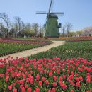 순천만 쉼표 이미지