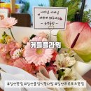 (일산 핫플) 일산 기념일 / 졸업식 / 프로포즈 꽃집 추천, 커들플라워