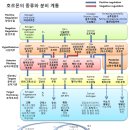 새천년건강약국 이미지