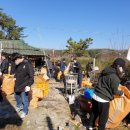 와룡면행정복지센터 이미지