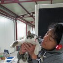 여주-0203 이미지