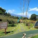 매화공원 족구장+농구장 이미지