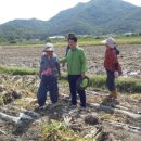 농협파머스마트 앞 이미지