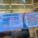 뚜레쥬르베이커리 수원망포점 | [망포역 베이커리] 수원 로제베이커리 주차도 편하고 빵 종류도 정말 다양한 베이커리 카페