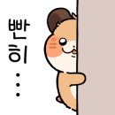 두진상사