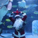 아쿠아리움 이미지