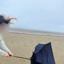 청포대아재펜션 이미지