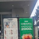 상남오거리 | 신상카페 창원 상남동 빵집 창원 상남동 커피숍 너무나 싱그러운그레이핍플 상남오거리점에 다녀온 후기