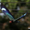 연일읍 중명리 이미지