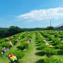 안식공원 이미지